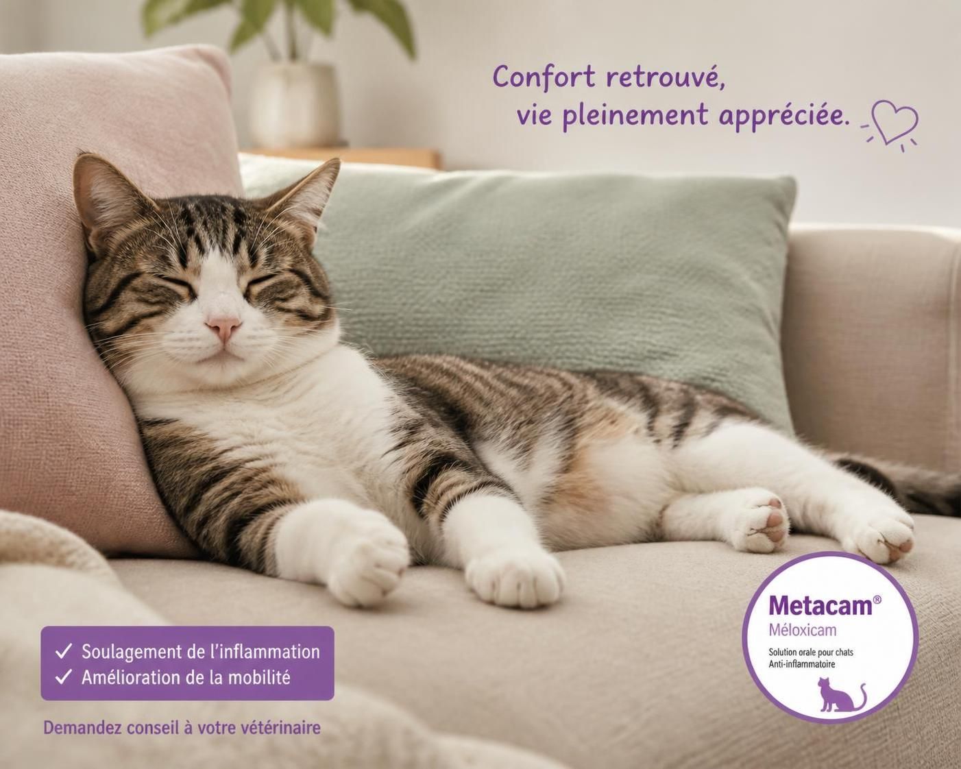 découvrez comment utiliser metacam pour chat afin de soulager efficacement la douleur et l'inflammation de votre animal. conseils d'administration et précautions d'emploi.