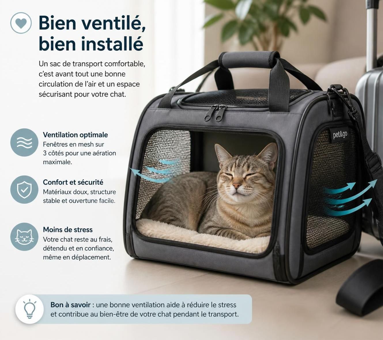 découvrez nos conseils pratiques pour choisir le sac de transport parfait pour votre chat en 2026, alliant confort, sécurité et style pour vos déplacements.